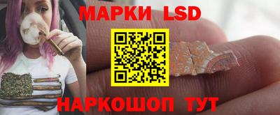 гидра Ярцево